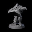 Ornate Palace Guard D Miniature for Dungeons and Dragons, Pathfinder or other TTRPGs