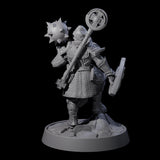 Ornate Palace Guard L Miniature for Dungeons and Dragons, Pathfinder or other TTRPGs