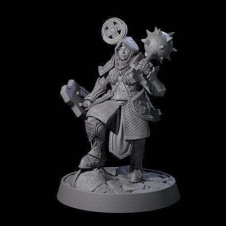 Ornate Palace Guard L Miniature for Dungeons and Dragons, Pathfinder or other TTRPGs