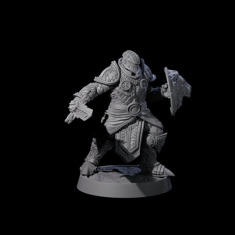 Ornate Palace Guard O Miniature for Dungeons and Dragons, Pathfinder or other TTRPGs