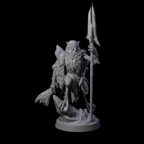 Owl-Like Aarakocra Sentinel A Miniature for Dungeons and Dragons, Pathfinder or other TTRPGs