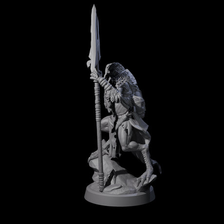 Owl-Like Aarakocra Sentinel A Miniature for Dungeons and Dragons, Pathfinder or other TTRPGs