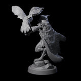Owl-Like Aarakocra Sentinel B Miniature for Dungeons and Dragons, Pathfinder or other TTRPGs