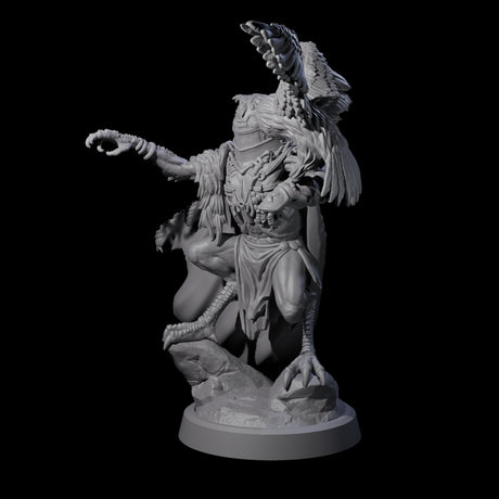 Owl-Like Aarakocra Sentinel B Miniature for Dungeons and Dragons, Pathfinder or other TTRPGs