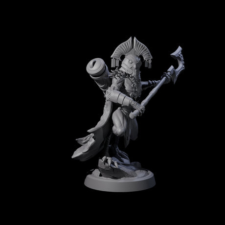 Owl-Like Aarakocra Sentinel C Miniature for Dungeons and Dragons, Pathfinder or other TTRPGs