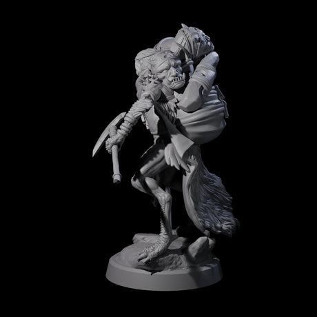 Owl-Like Aarakocra Sentinel D Miniature for Dungeons and Dragons, Pathfinder or other TTRPGs