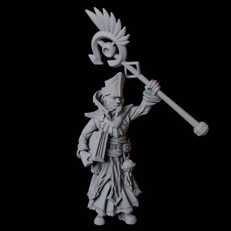 Pair of Noble Priests Miniature for Dungeons and Dragons, Pathfinder or other TTRPGs