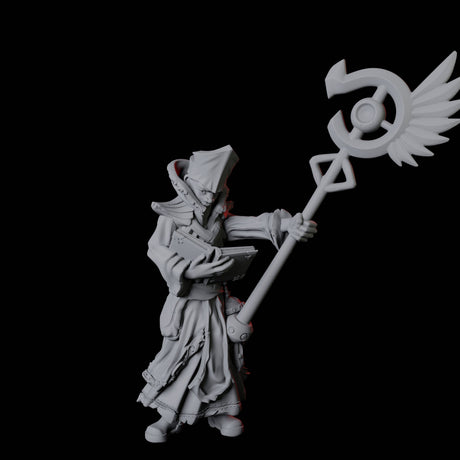 Pair of Noble Priests Miniature for Dungeons and Dragons, Pathfinder or other TTRPGs
