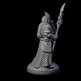 Pale Drow F Miniature for Dungeons and Dragons, Pathfinder or other TTRPGs