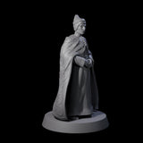 Pensive Doge of the City Miniature for Dungeons and Dragons, Pathfinder or other TTRPGs