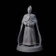 Pensive Doge of the City Miniature for Dungeons and Dragons, Pathfinder or other TTRPGs