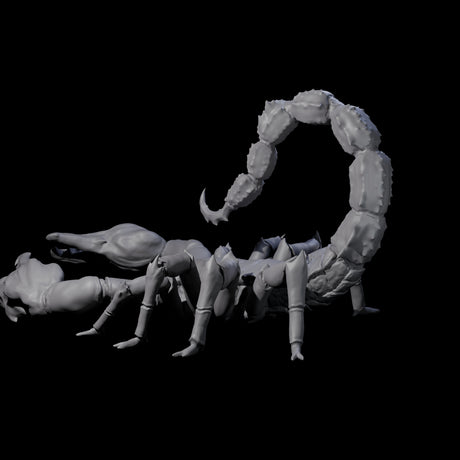 Pinching Giant Scorpion Miniature for Dungeons and Dragons, Pathfinder or other TTRPGs