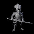 Pious Knight C Miniature for Dungeons and Dragons, Pathfinder or other TTRPGs