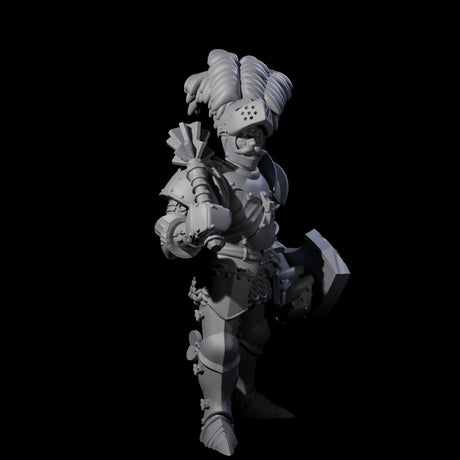 Pious Knight D Miniature for Dungeons and Dragons, Pathfinder or other TTRPGs