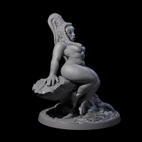 Plump Ogre Pinup Miniature for Dungeons and Dragons, Pathfinder or other TTRPGs