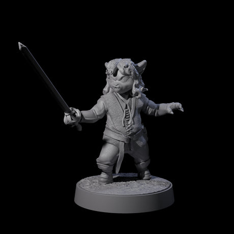 Pocket Sized Tabaxi Fighter Miniature for Dungeons and Dragons, Pathfinder or other TTRPGs