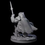 Polar Ursine Warrior C Miniature for Dungeons and Dragons, Pathfinder or other TTRPGs