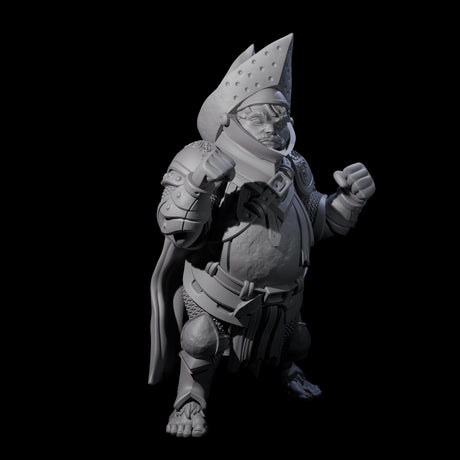 Portly Little Knight Miniature for Dungeons and Dragons, Pathfinder or other TTRPGs