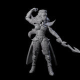 Prepared Dragon Guard Dueler Miniature for Dungeons and Dragons, Pathfinder or other TTRPGs