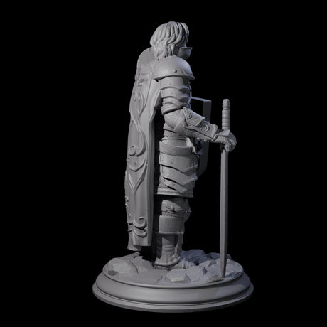 Prepared Young Knight Miniature for Dungeons and Dragons, Pathfinder or other TTRPGs