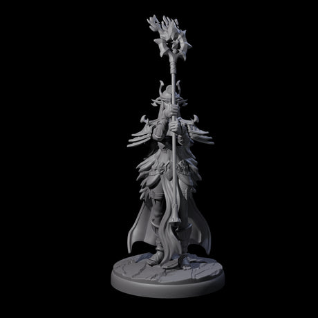 Pure Dark Elf Sorceress Cabal Miniature for Dungeons and Dragons, Pathfinder or other TTRPGs