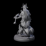 Pure Dark Elf Sorceress H Miniature for Dungeons and Dragons, Pathfinder or other TTRPGs