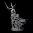 Raging Warblade Succubus A Miniature for Dungeons and Dragons, Pathfinder or other TTRPGs