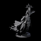 Raging Warblade Succubus B Miniature for Dungeons and Dragons, Pathfinder or other TTRPGs