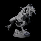 Ravaged Axe Beak Beast D Miniature for Dungeons and Dragons, Pathfinder or other TTRPGs