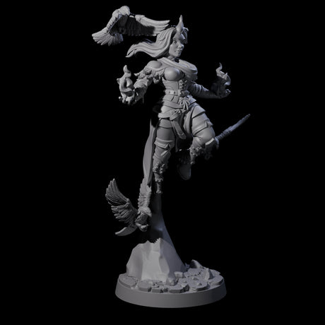 Raven Loving Druid Miniature for Dungeons and Dragons, Pathfinder or other TTRPGs