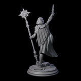 Ready To Sacrifice Elf Cleric Miniature for Dungeons and Dragons, Pathfinder or other TTRPGs
