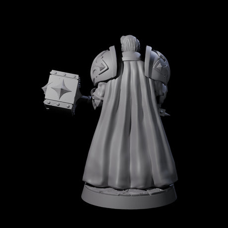 Resolute Court Paladin Miniature for Dungeons and Dragons, Pathfinder or other TTRPGs
