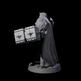 Resolute Court Paladin Miniature for Dungeons and Dragons, Pathfinder or other TTRPGs