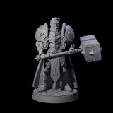 Resolute Court Paladin Miniature for Dungeons and Dragons, Pathfinder or other TTRPGs