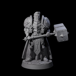 Resolute Court Paladin Miniature for Dungeons and Dragons, Pathfinder or other TTRPGs