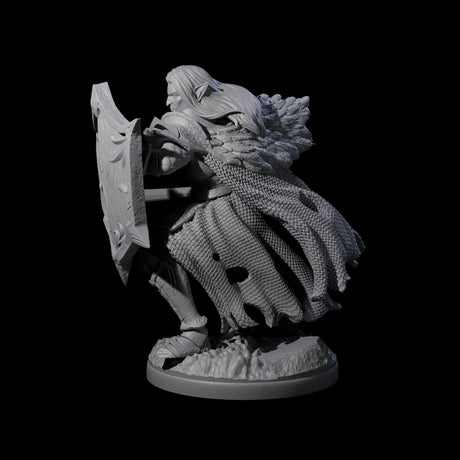 Righteous Elf Paladin Miniature for Dungeons and Dragons, Pathfinder or other TTRPGs