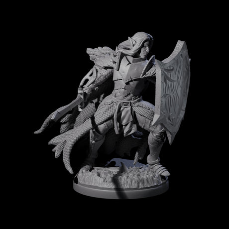 Righteous Elf Paladin Miniature for Dungeons and Dragons, Pathfinder or other TTRPGs