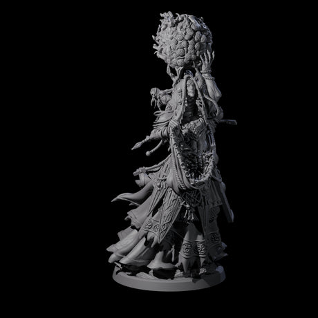 Roaming Darvakka B Miniature for Dungeons and Dragons, Pathfinder or other TTRPGs
