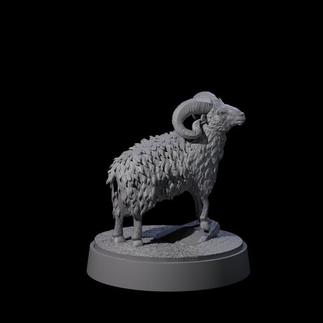 Roaming Ram Miniature for Dungeons and Dragons, Pathfinder or other TTRPGs