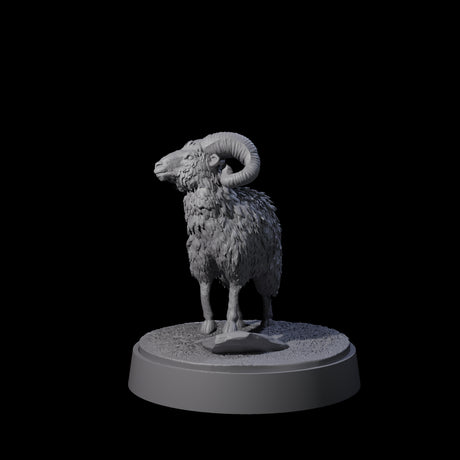 Roaming Ram Miniature for Dungeons and Dragons, Pathfinder or other TTRPGs