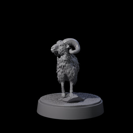 Roaming Ram Miniature for Dungeons and Dragons, Pathfinder or other TTRPGs