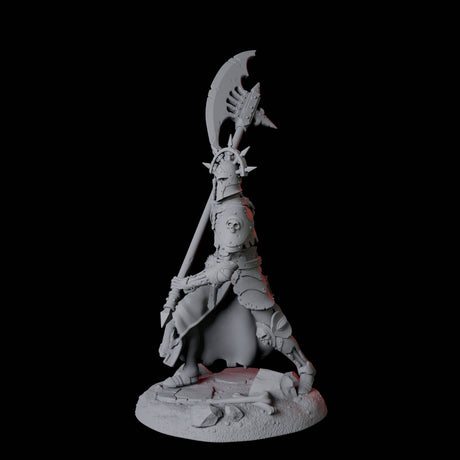 Roaming Undead Warrior A Miniature for Dungeons and Dragons, Pathfinder or other TTRPGs