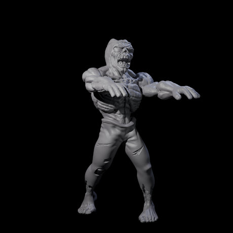Roaming Zombie A Miniature for Dungeons and Dragons, Pathfinder or other TTRPGs