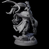 Roaring Scarred Leonin Master Miniature for Dungeons and Dragons, Pathfinder or other TTRPGs