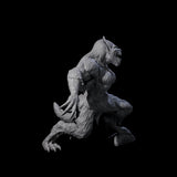 Roaring Shebeast Miniature for Dungeons and Dragons, Pathfinder or other TTRPGs