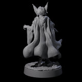 Robed Tabaxi Rogue A Miniature for Dungeons and Dragons, Pathfinder or other TTRPGs