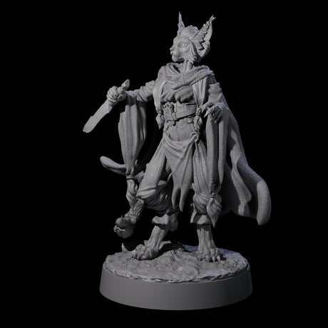 Robed Tabaxi Rogue A Miniature for Dungeons and Dragons, Pathfinder or other TTRPGs