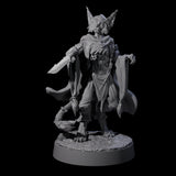 Robed Tabaxi Rogue A Miniature for Dungeons and Dragons, Pathfinder or other TTRPGs