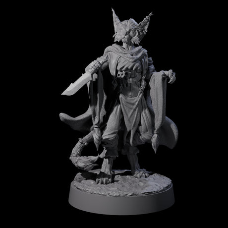 Robed Tabaxi Rogue A Miniature for Dungeons and Dragons, Pathfinder or other TTRPGs