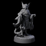 Robed Tabaxi Rogue A Miniature for Dungeons and Dragons, Pathfinder or other TTRPGs